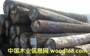 進口 唐木 原木的詳細介紹
