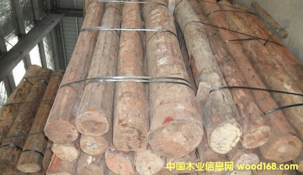  尼泊爾 小葉紫檀的詳細介紹
