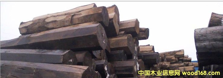 印尼紫檀（闊葉黃檀）原木的詳細介紹