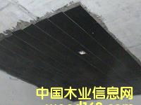 c鿴̼wSԔY