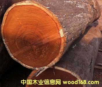 菠蘿格原木的詳細介紹