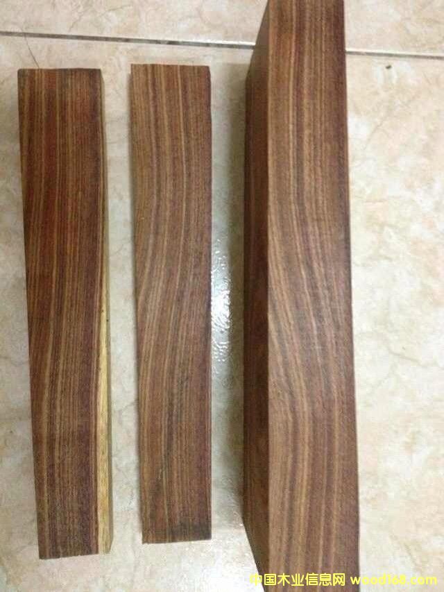 闊變豆木的詳細(xì)介紹