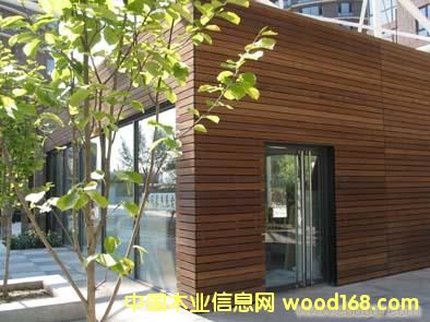 黃巴勞木的詳細(xì)介紹