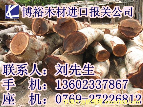 點擊查看進口報關放大圖片