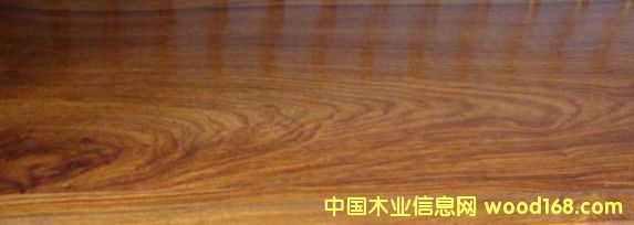 S棨棩ľͺϵذ