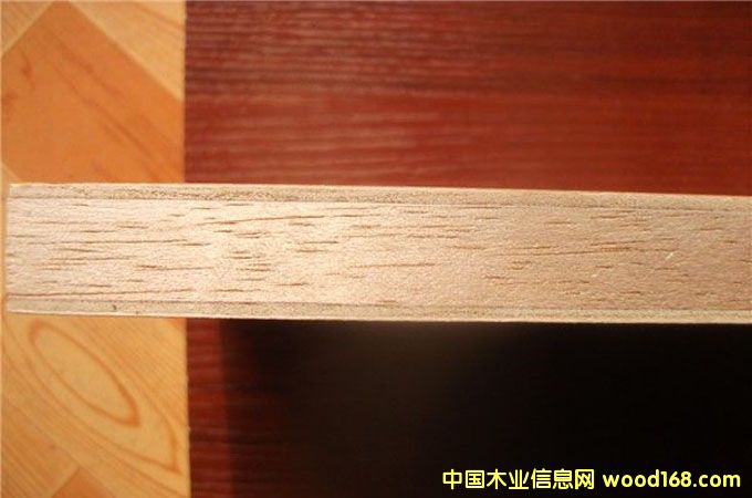 生態板的詳細介紹