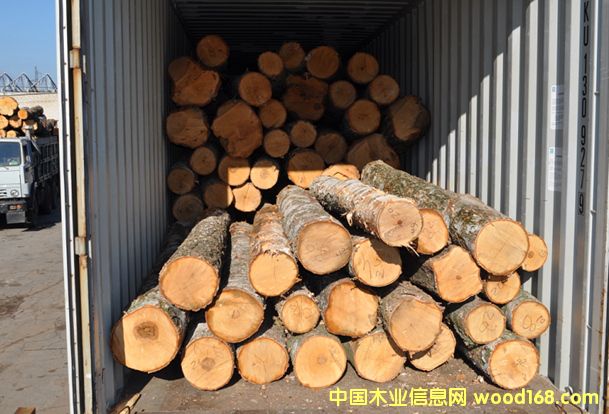 樺木的詳細介紹