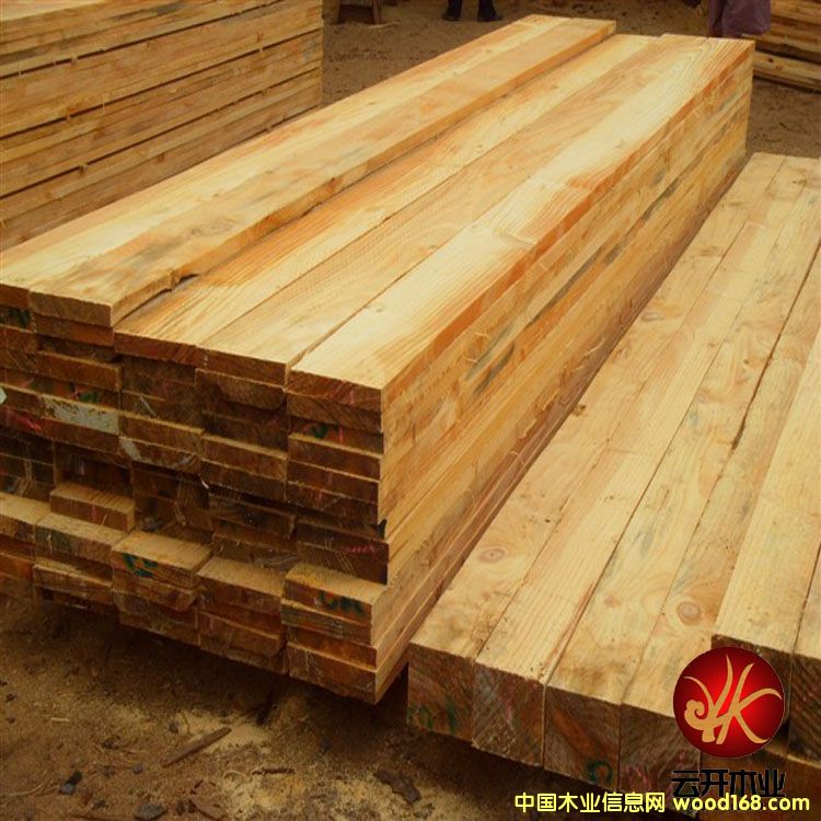 輻射松的詳細(xì)介紹