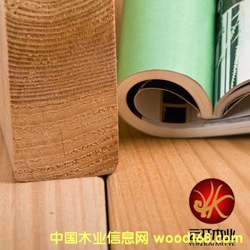 加拿大黃雪松的詳細(xì)介紹