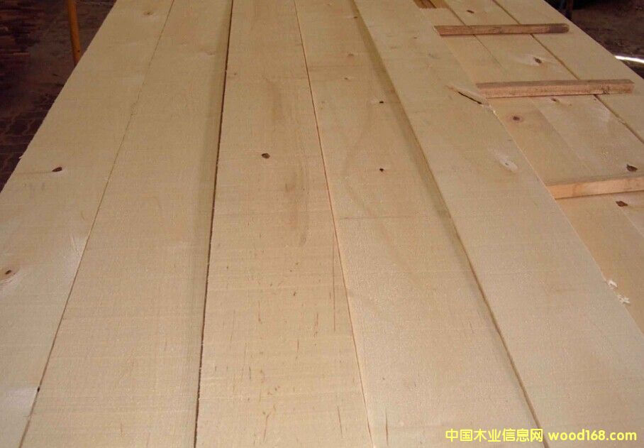 相思木的詳細介紹
