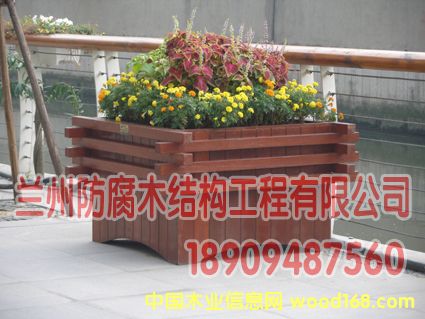 [] mݷľľl18909487560
