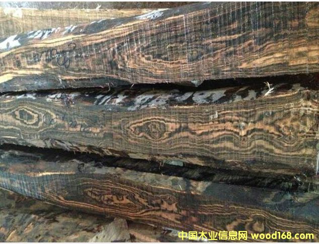 供應(yīng)廣西優(yōu)質(zhì)花梨木的詳細介紹