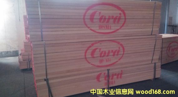 櫸木的詳細介紹