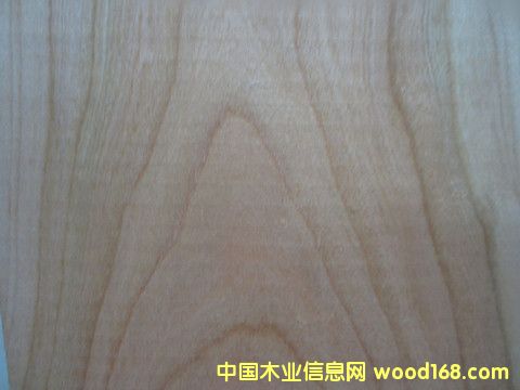 櫻桃的詳細介紹