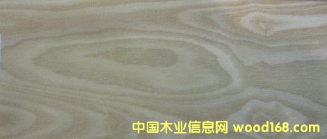 白臘木的詳細介紹