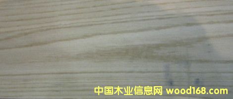 紅橡的詳細介紹