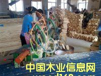 集成材工廠的詳細介紹