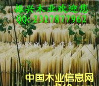 楊木芯板的詳細介紹