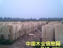 楊木夾芯的詳細介紹