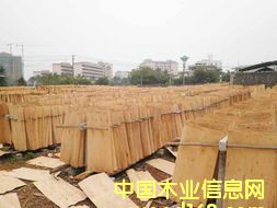 楊木夾芯的詳細介紹