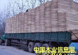 楊木夾芯的詳細介紹