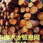 點擊查看FB-1放大圖片