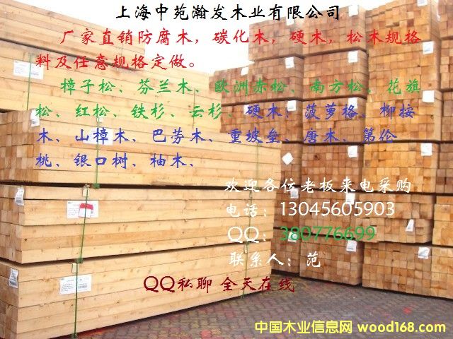 加拿大鐵杉的詳細介紹