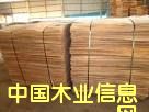 單板的詳細介紹