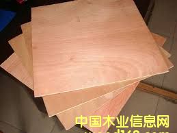 Plywood Keruing Face/BackԔB