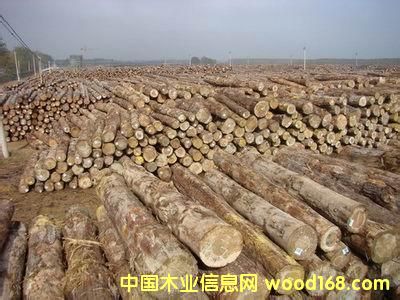 點擊查看東南亞放大圖片