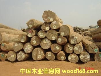 點擊查看東南亞放大圖片