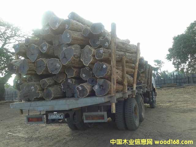 紫光檀，東非黑黃檀，烏木的詳細介紹
