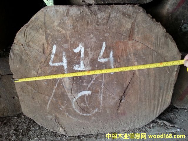 鳥足紫檀的詳細(xì)介紹