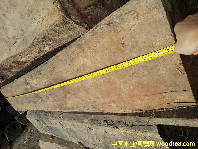 鳥足紫檀的詳細(xì)介紹