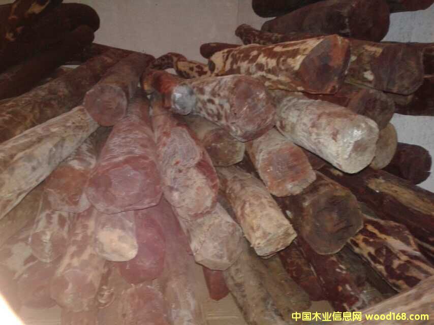 印度 小葉紫檀