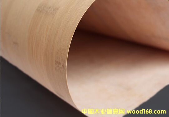 竹皮的詳細(xì)介紹