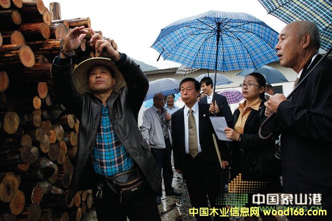 日本友好訪問團考察象山木材銷售市場