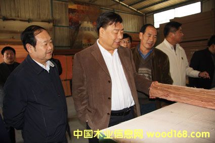 吉林森工集團察看豐縣科技木銷售市場