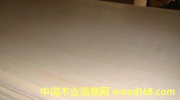 椴木合板的詳細(xì)介紹