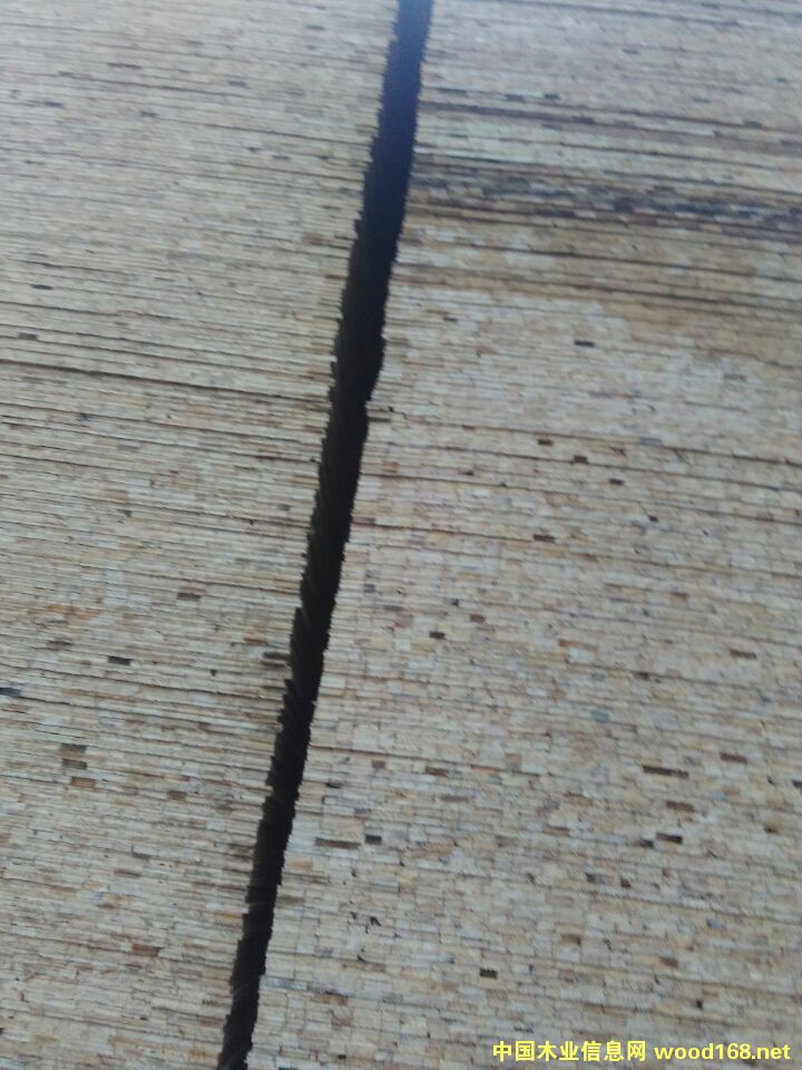 桐木雙拼板的詳細介紹