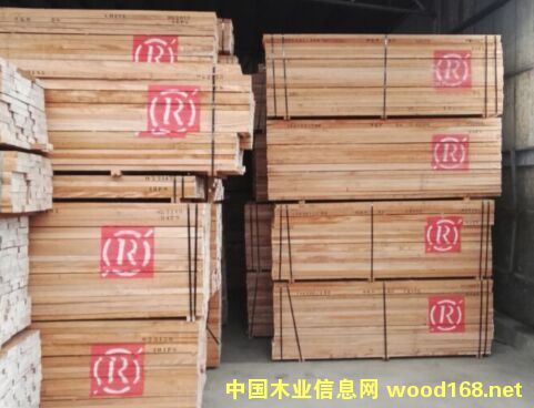 R1的詳細介紹
