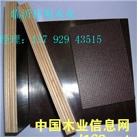供應(yīng)三聚氰胺紙建筑模板家具板的詳細(xì)介紹