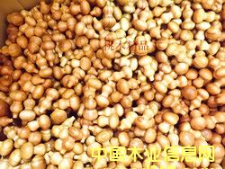 葫蘆的詳細(xì)介紹