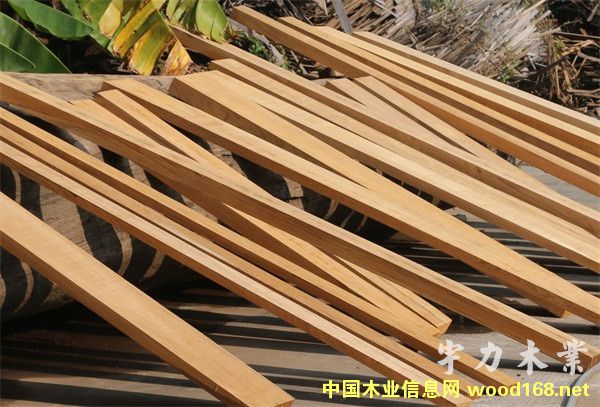 緬甸柚木規格料的詳細介紹