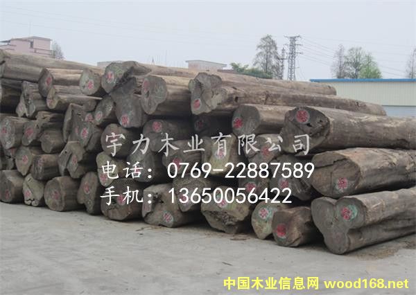 柚木原木大貿材的詳細介紹