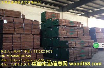 黑胡桃的詳細介紹