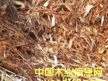 點擊查看樹皮放大圖片
