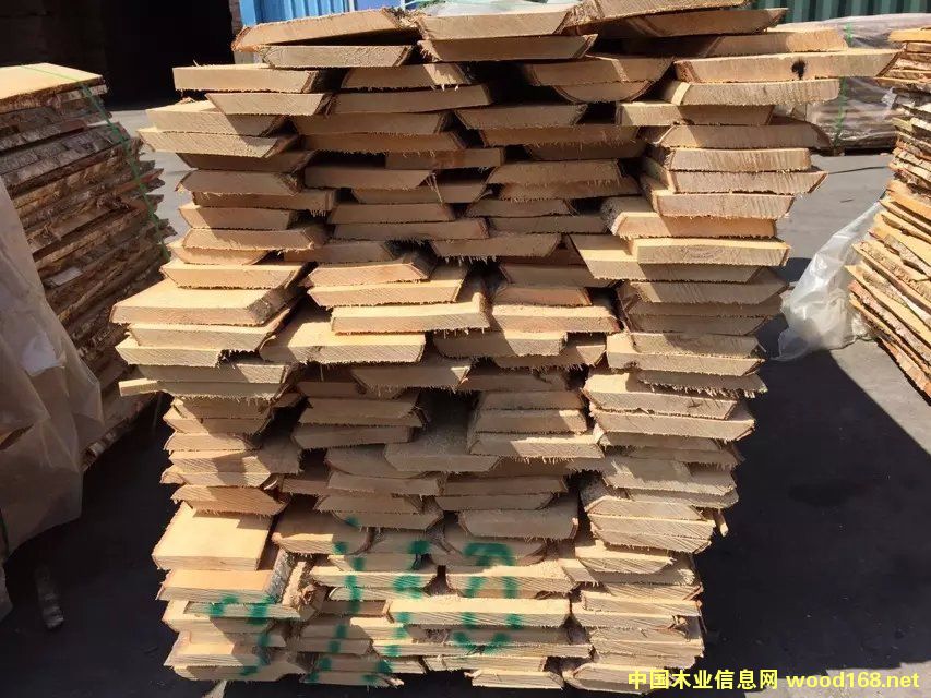 點(diǎn)擊查看歐洲樺木俄羅斯樺木放大圖片