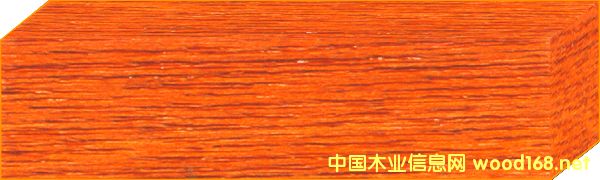 c鿴ˮ̓Ⱦ ȼt O-09-SԔY