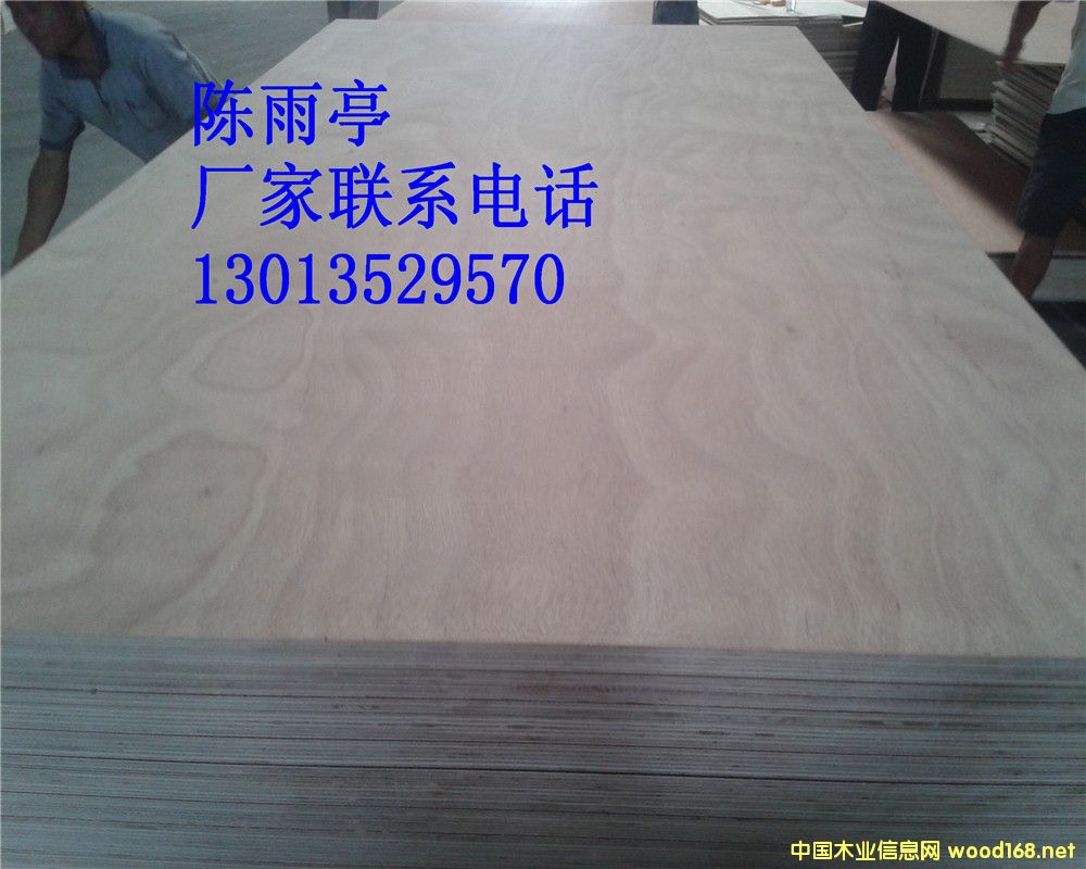 [] W() 15mmоzϰ
